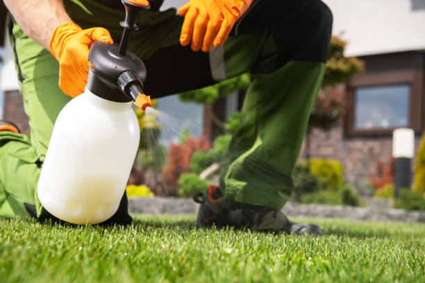 Best Affordable Exterminators  in Lebanon, OR