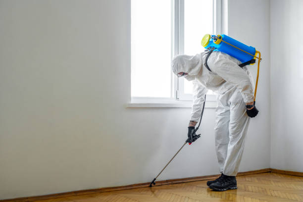 Best Flea Control Services  in Lebanon, OR