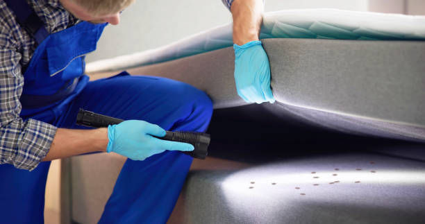 Best Affordable Pest Control Services  in Lebanon, OR