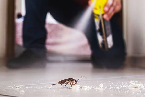 Best Pest Removal Services  in Lebanon, OR